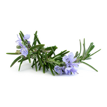 Load image into Gallery viewer, rosemary