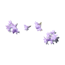 Load image into Gallery viewer, jacaranda flower