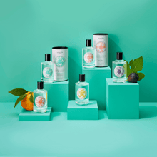 Load image into Gallery viewer, cologne bottle collection