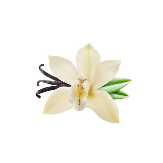 Café Creme Limited Edition Candle 120gr