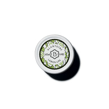 Load image into Gallery viewer, Alantoíne! Protective Lip Balm! 12ml
