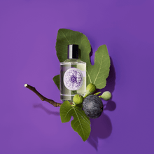 Load image into Gallery viewer, cologne bottle with fig branch
