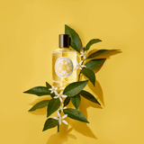 cologne bottle with orange blossom branch