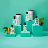 cologne bottle collection
